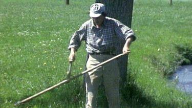 Der Bauernknecht Alois Pöchmann arbeitet auf einem Hof im Unterallgäu, seit er vor 28 Jahren aus der Kriegsgefangenschaft entlassen wurde. Hier beim Mähen mit der Sense. | Bild: BR