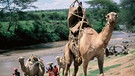 Die Flussdurchquerung mit den Kamelen. | Bild: BR/RBB/Frank Feustle