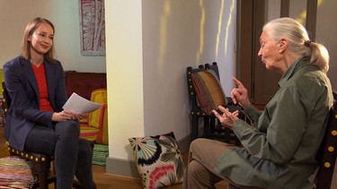 Von links: Dr. Sibylle Anderl im Gespräch mit Dr. Jane Goodall. | Bild: BR