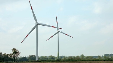Eine Umstellung auf saubere, also klimaneutrale Energien wie Windkraft ist notwendig. | Bild: BR/SWR