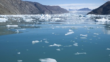Treibeis in Grönland. | Bild: BR/SWR/Christian Zecha