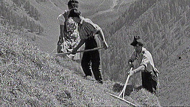 Heumahd in Tirol 1963 - am Berghang mit dem Rechen, eine nicht ganz ungefährliche Arbeit. | Bild: BR