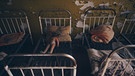 Die Wälder rund um Tschernobyl in Flammen, radioaktive Wolken über der Ukraine. Bange Blicke auf die Wettervorhersagen. Erinnerungen an die Reaktorkatastrophe von 1986 werden wach. Lisa Gadenstätter besucht für Dok 1 den Unglücksreaktor und trifft auf Überlebende in der Todeszone: auf die Helden von damals und die Neugierigen von heute, die Urlaub in der Sperrzone machen. In Kiew erzählt Bürgermeister Vitali Klitschko von seinem Vater, dem Liquidator. Im Bild: verlassener Kindergarten in Tschernobyl. | Bild: BR/ORF/phlex film/Ben Paya