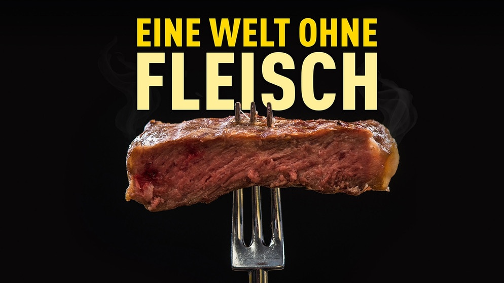 Bildmarke zum Film "Eine Welt ohne Fleisch". | Bild: BR/HR