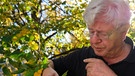 Prof. Urs Wyss steigt hinab in die Welt der Insekten. | Bild: BR/NDR/TOB Filmproduktion/Tim Boehme