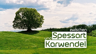 Key Visual Sendereihenbild mit Typo zu "Zwischen Spessart und Karwendel". | Bild: BR