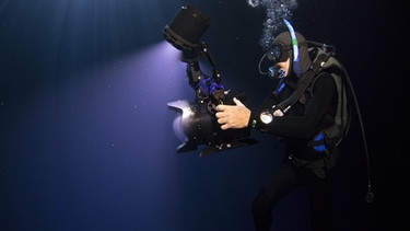 Meeresbiologe und Kameramann Rick Rosenthal gehört zu den erfahrensten und besten Unterwasser-Kameramännern der Welt. | Bild: BR/Doclights GmbH/NDR/NDR Naturfilm/Rick Rosenthal