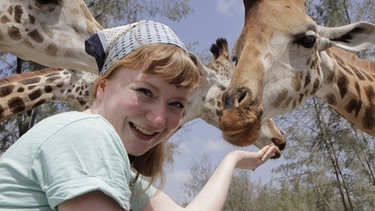 Die Giraffen im Hallerpark sind es gewöhnt, dass man sie zufüttert. Doch aus der Hand? Das war eine neue Erfahrung für Reporterin Paula. | Bild: BR/TEXT + BILD Medienproduktion GmbH & Co. KG