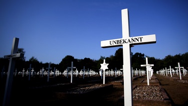 Weiße Kreuze stehen auf dem Militärischen Ehrenfriedhof in der Gedenkstätte Feldscheune Isenschnibbe in Gardelegen. | Bild: dpa-Bildfunk/Ronny Hartmann