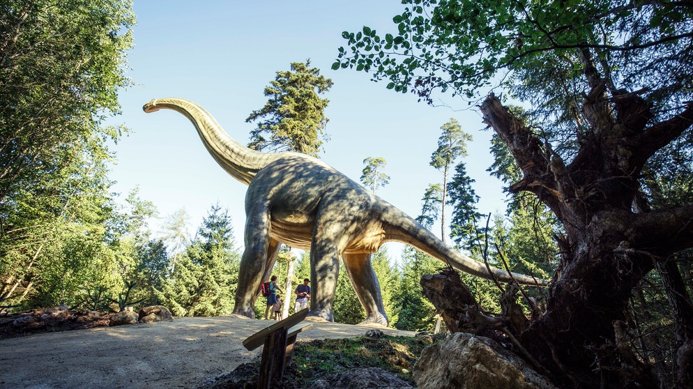Dinosaurier - Brachiosaurus im Dinopark Altmühltal | Bild: Dinosaurier-Park Altmühltal