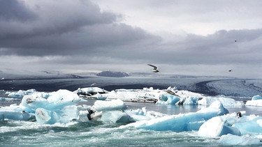 Schmelzender Gletscher auf Island. | Bild: AMP/BR/SWR/Rolf Lambert