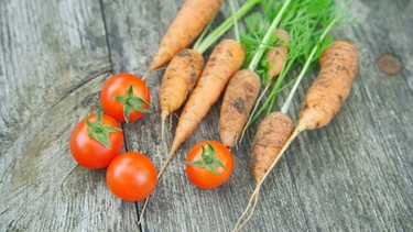 Karotten und Tomaten aus biologischen Anbau | Bild: picture-alliance/dpa