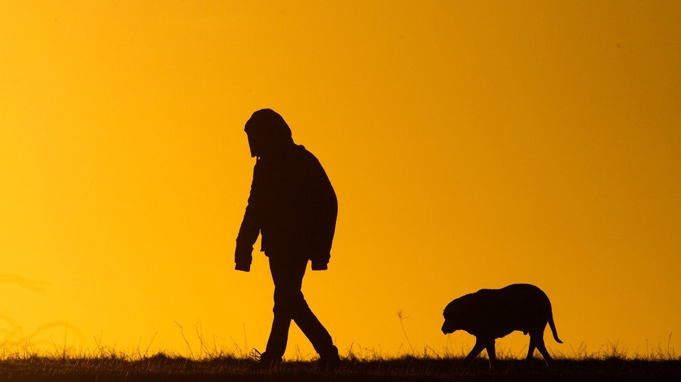  Ein Mann spaziert mit einem Hund bei Sonnenaufgang über einen Feldweg. | Bild: dpa-Bildfunk/Julian Stratenschulte