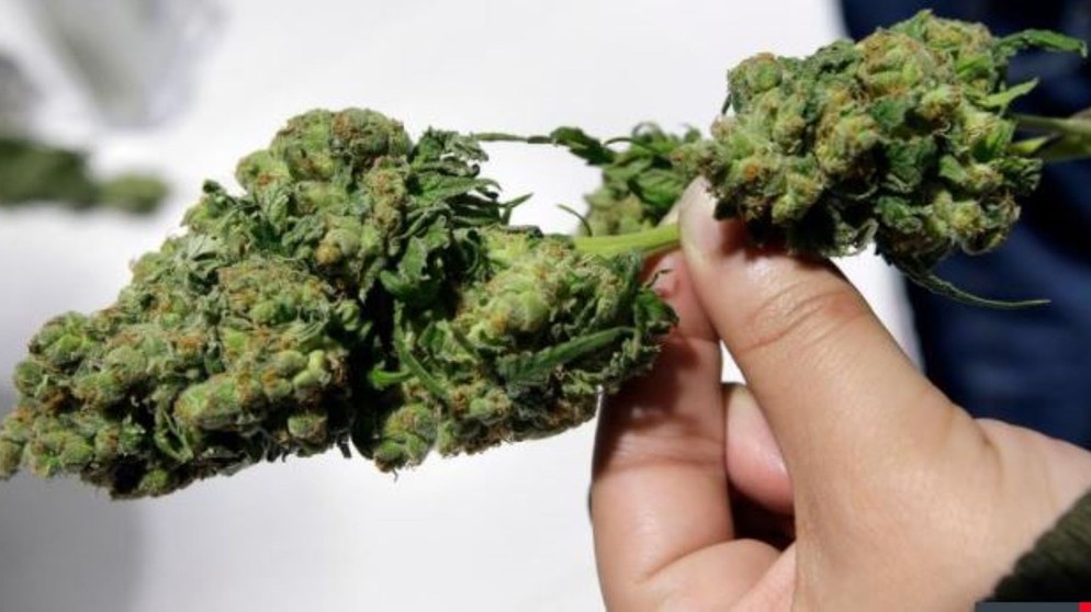 nano | Wissen - Pro und Contra Cannabis-Legalisierung | Bild: 3sat/ZDF