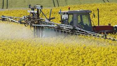 Pflanzenschutzmittel wird mit dem Traktor auf ein Feld versprüht | Bild: picture-alliance/dpa