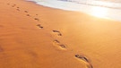 Fußspuren im Sand | Bild: colourbox.com