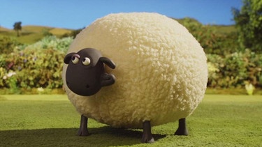 Shaun das Schaf -Das Roll-Schaf | Bild: WDR/Aardman Animation Ltd./BBC