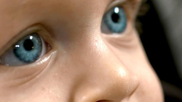 Welche Augenfarbe bekommt mein Kind? | Bild: NDR