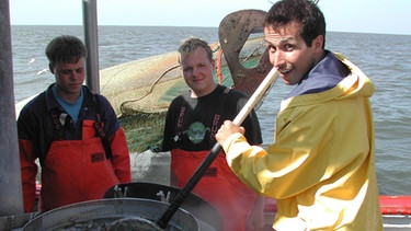 Alles in Butter auf dem Krabbenkutter! / Willi Weitzel auf einem Krabbenkutter in der Nordsee. Hier werden die Krabben direkt nach dem Fang gekocht, um sie haltbarer zu machen. | Bild: BR/megaherz gmbh