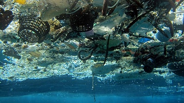 Plastikmüll schwimmt in der Hanauma-Bucht, Hawaii | Bild: picture-alliance/dpa