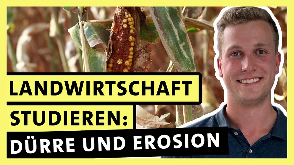 Lucas Reichenberger, Student im 8. Semester Landwirtschaft an der Hochschule Weihenstephan-Triesdorf | Bild: BR