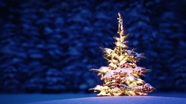 Ein verschneiter Tannenbaum in einer weißen Winterlandschaft. Viele von uns wünschen sich weiße Weihnachten. Doch das Weihnachtstauwetter macht uns oft einen Strich durch die Rechnung. Warum gibt es so selten Schnee an Weihnachten? | Bild: Wochit/Getty Images