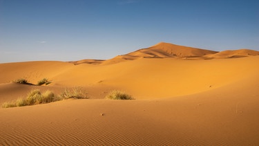 Zu sehen sind Sanddünen der Wüste Sahara. Bezieht man Halbwüsten mit ein, gehören den Wüsten mit rund 50 Millionen Quadratkilometern von allen Landschaftsformen der Erde die größte Fläche. Hier erfahrt ihr spannende Fakten über die trockensten Lebensräume der Welt. | Bild: picture alliance/Shotshop | inspi