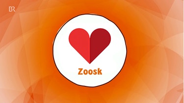 App, Zoosk, Logo | Bild: BR/Zoosk
