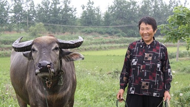 Das Leben auf dem Land, wie hier bei der Familie von Marens neuer Freundin Hong in der Provinz Anhui, steht im krassen Kontrast zur Großstadt. | Bild: BR