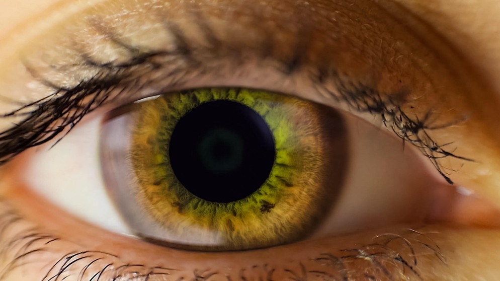 The human female eye is light brown. Eye close | Bild: picture alliance / Zoonar | Andrey Nyrkov