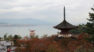 Die Insel Miyajima südwestlich von Hiroshima | Bild: Matti Lorenzen 