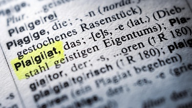 Begriff "Plagiat" im Wörterbuch | Bild: picture-alliance/dpa