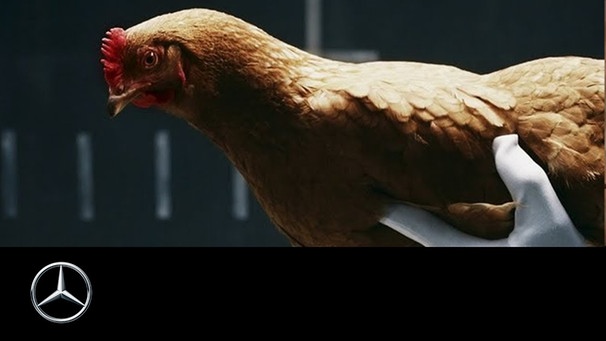 Mercedes-Benz “Chicken” MAGIC BODY CONTROL TV commercial | Bild: Mercedes-Benz (via YouTube)