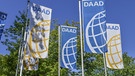 Deutscher Akademischer Austauschdienst DAAD, Kennedyallee, Bonn, Nordrhein-Westfalen, Deutschland | Bild: picture-alliance/dpa