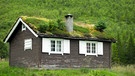 Hütte mit grünen Dach | Bild: picture-alliance/dpa