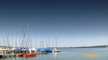 Ruhe finden am Starnberger See | Bild: BR