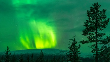 Starke Polarlichter haben sich über dem Pallas Yllästunturi Nationalpark hoch im Norden von Finnland gebildet. Die Lichter entstehen, wenn Elektronen der Sonnenwinde auf die Erdatmosphäre treffen. | Bild: picture alliance / dpa-Zentralbild | Stephan Schulz