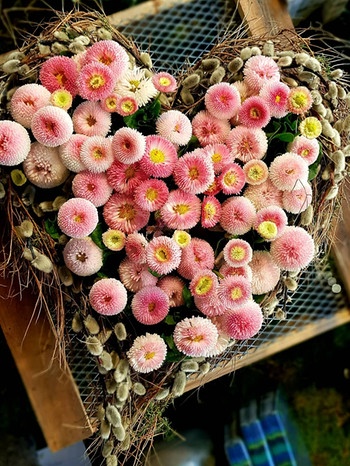 Die Liebe zum Frühling!! #Blütenzauber_schwabing #wirliebenwaswirmachen #balkonblumen #muenchenbleibtdahoam #lieferservicemünchen #herzensmensch #wirliebenunserekunden #munichflorist | Bild: bluetenzauber_schwabing (via Instagram)