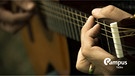 Mann spielt Gitarre
| Bild: picture alliance / Bildagentur-online/Blend Images | Blend Images/Paco Navarro