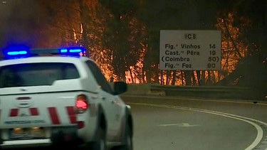 Waldbrände in Portugal - die Wahrheit hinter der Katastrophe | Bild: BR