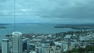 Blick vom Sky Tower in Auckland auf den Hafen | Bild: Sonja Coulin
