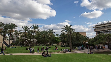 Universität Tel Aviv | Bild: BR
