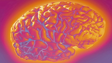 Gehirn stahelnd mit orange-lila Effekten als Symboldbild für die Sendung Campus Talks mit dem Titel: "Gehirne aus Hautzellen" | "Die Suche nach dem verschwundenen Stickstoff" | Bild: colourbox.com