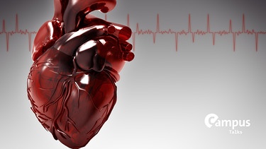 Modellherz mit EKG-Kurve im Hintergrund (Symbolbild für Herzkranheiten) | Bild: colourbox.com von tolokonov