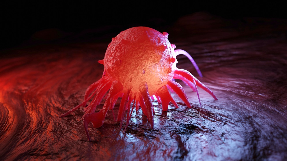 Symbolbild zu "Wie sterben Zellen den eisentod? 3D Illustration von Krebszellen im menschlichen Körper mit Campus Talks Logo | Bild: picture alliance / Westend61 | Spectral