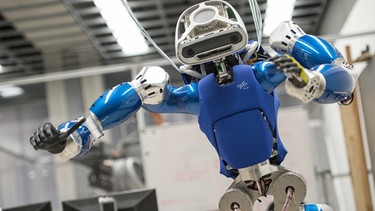 Roboterprojekt Toro beim Deutschen Zentrum für Luft- und Raumfahrt (DLR) in Oberpfaffenhofen | Bild: picture-alliance/dpa
