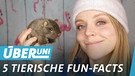 Sabine und ihre Fun-Facts, was Tiere angehen | Bild: BR