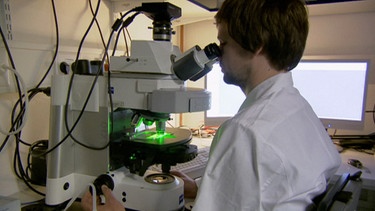 Student schaut in Mikroskoph | Bild: BR