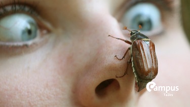 Ein Maikäfer krabbelt auf der Nase einer jungen Frau entlang. | Aktuell | Bild: picture alliance/dpa | Wolfgang Kumm