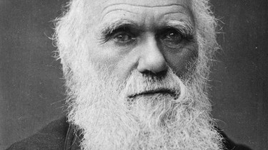Charles Darwin  | Bild: picture-alliance/dpa
